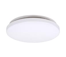 Rabalux Rabalux 3338 - LED Stropné svietidlo ROB LED/20W/230V