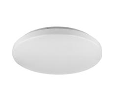 Rabalux Rabalux 5436 - LED Stropné svietidlo ROB LED/32W/230V